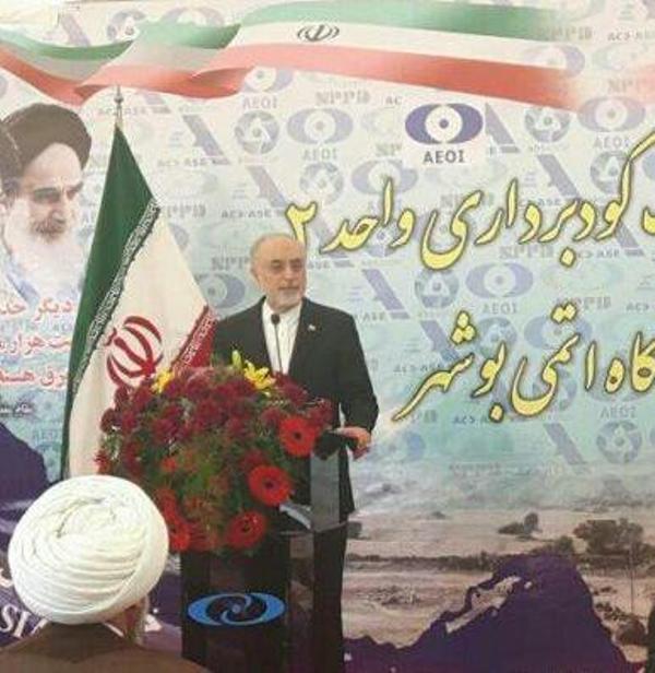 Bushehr nuclear plants sign of Iran-Russia strategic cooperation