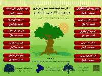 10 درخت كهنسال استان مركزي در فهرست آثار ملي ثبت شد