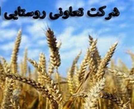 12 هزار روستایی در مهریز عضو شركت های تعاونی هستند