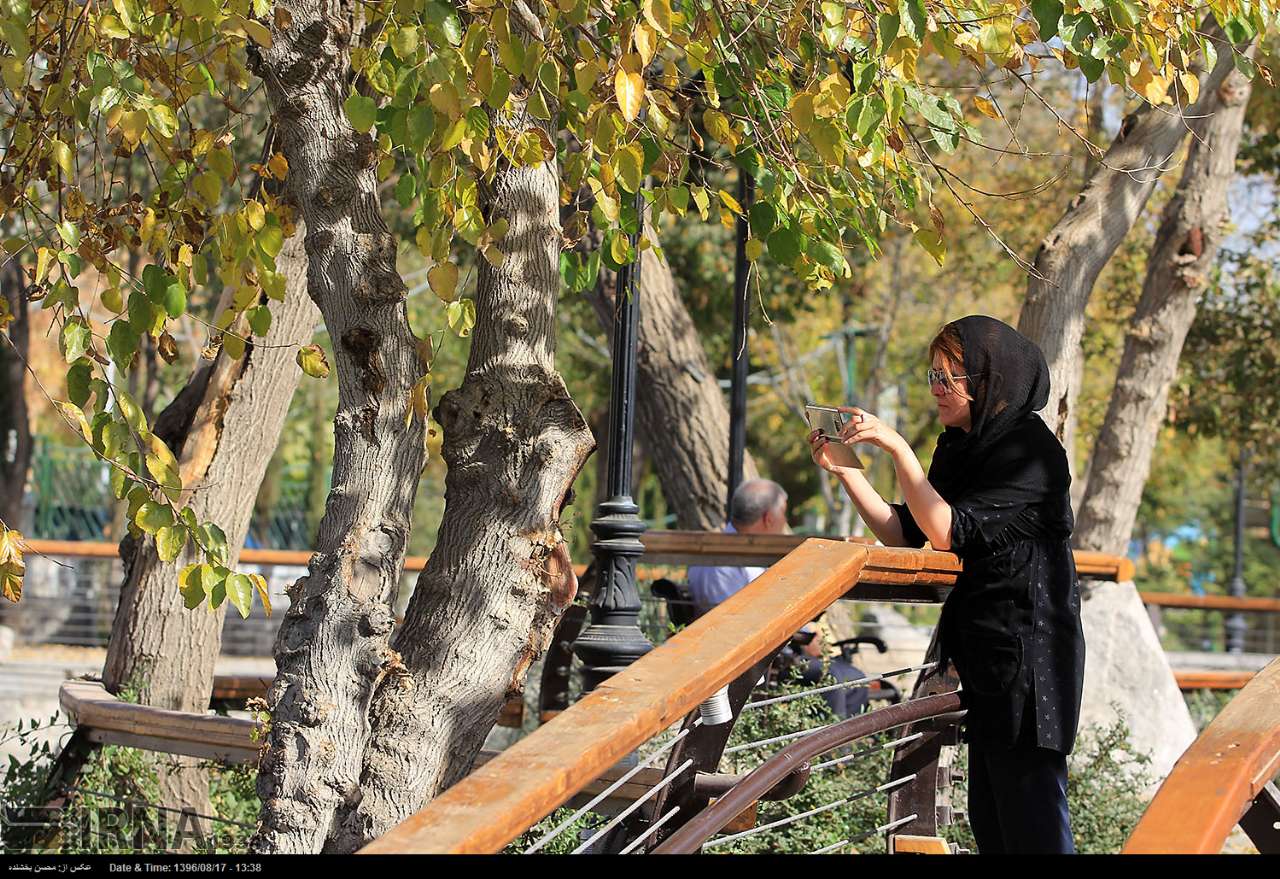 عکس پاییزی پارک ملت مشهد