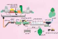 كشاورزی پایدار با طلای خاكستری