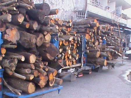 كشف و ضبط 34 تن چوب جنگلی قاچاق در گیلان