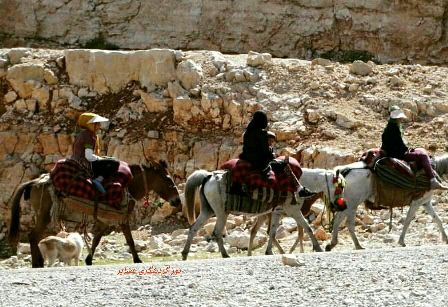 Nomad tours to be held for foreign tourists Nomad tours to be held for foreign tourists