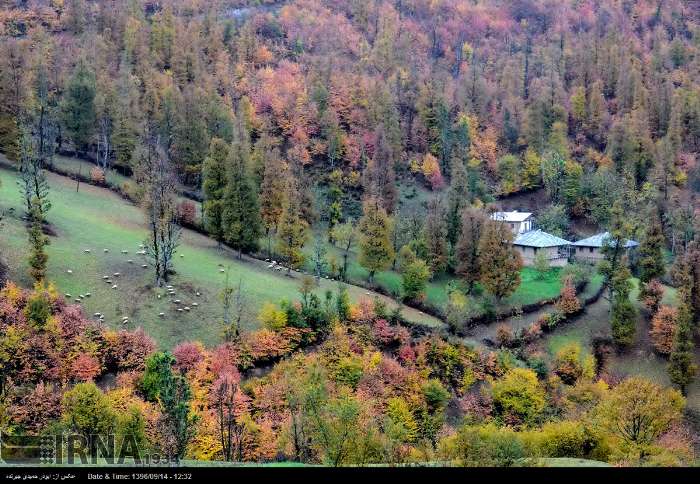 رودبار گیلان؛ همنوایی طعم زیتون با زیبایی جاذبه‌های گردگشگری