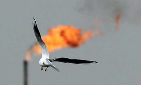 L'Iran augmente ses exportations de gaz de 64% L'Iran augmente ses exportations de gaz de 64%