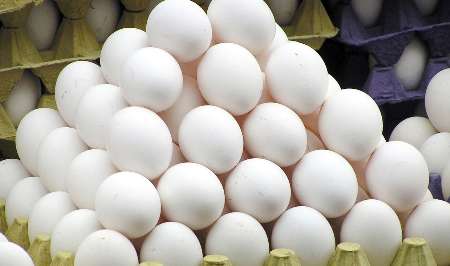 جمع آوری تخم مرغ های بدون كد بهداشتی از بازار قزوین