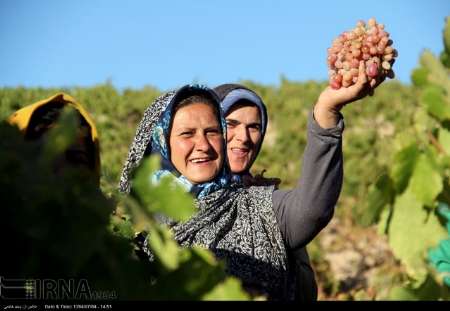 تاكداران خراسان شمالي در پرداخت هزينه هاي بيمه حمايت مي شوند