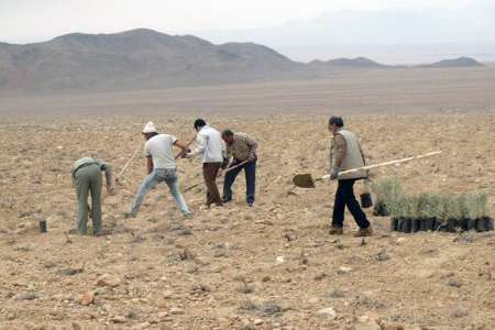 كمبود اعتبارات معضل طرحهای بیابانزدایی خراسان رضوی