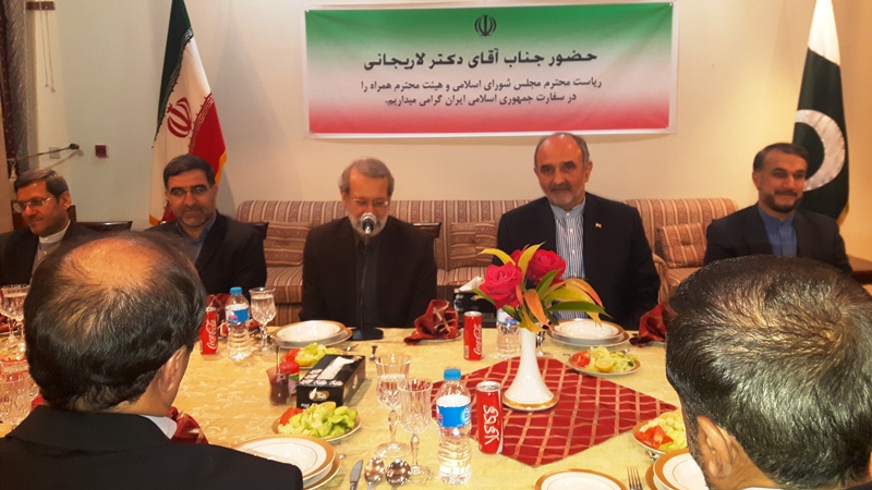 Iran, Pakistan ready to cooperate in every field: Larijani Iran, Pakistan ready to cooperate in every field: Larijani