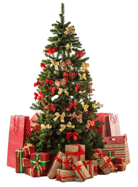IRNA wishes all Christians a Merry Xmas, Happy New Year IRNA wishes all Christians a Merry Xmas, Happy New Year