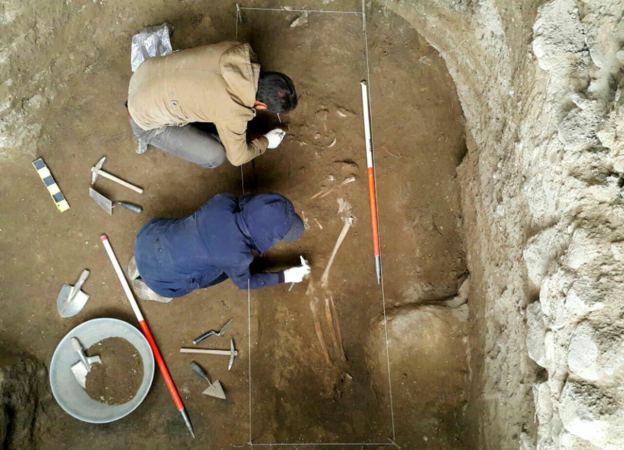 Ancient skeleton found in west Iran Ancient skeleton found in west Iran