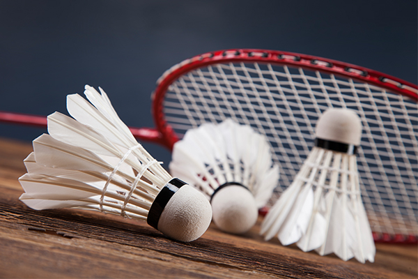 Une Iranienne remporte l'argent du tournoi international de badminton au Népal Une Iranienne remporte l'argent du tournoi international de badminton au Népal