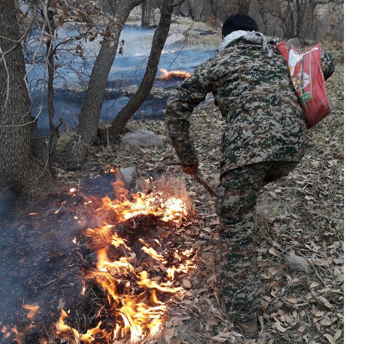 آتش جنگل‌هاي نخودكار مال آقا مهار شد