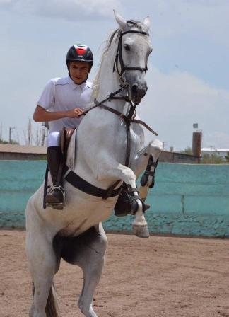 Iranian jockey books ticket for 2018 Summer Youth Olympics Iranian jockey books ticket for 2018 Summer Youth Olympics