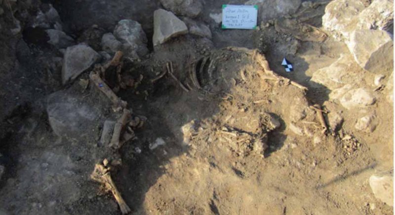 3 horse burials discovered in NW Iran 3 horse burials discovered in NW Iran