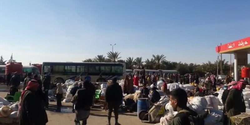 3,000 displaced return to Deir Ezzor, Syria