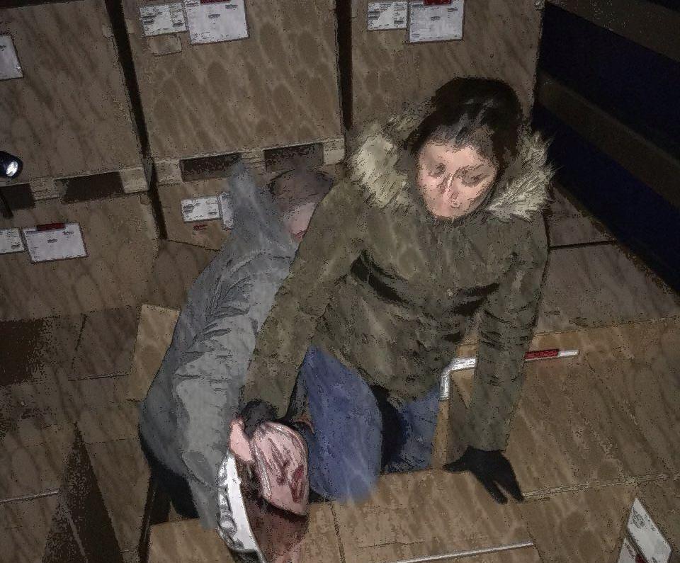 Iran foils human trafficking attempt at border with Turkey Iran foils human trafficking attempt at border with Turkey