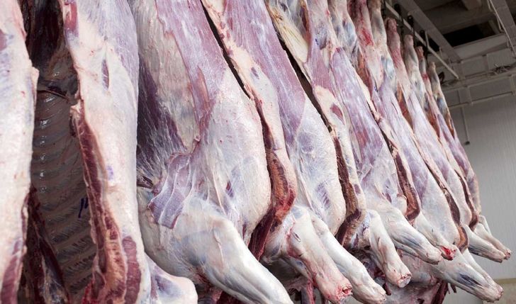 واردات گوشت گوسفندي در ازاي صادرات دام زنده از اول بهمن ماه امسال