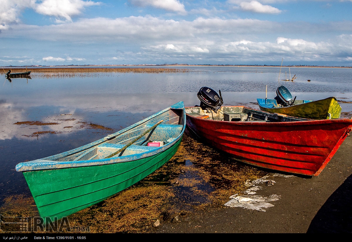 Anzali Lagoon in northern Iran