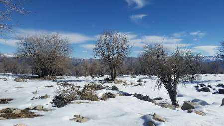 برف ، ارتباط دهستان های احمدفداله و دره كاید دزفول را قطع كرد