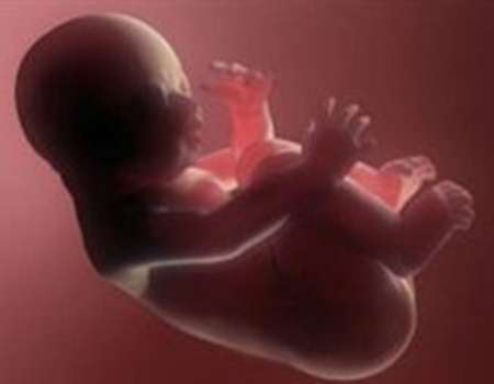 951نفر در استان تهران مجوز سقط درماني دريافت كردند