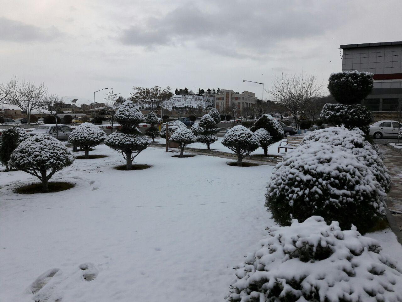 بارش برف كردستان را فرا گرفت