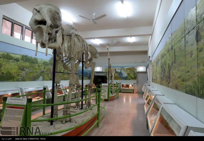 دانشگاه شهرکرد آماده جذب سرمایه‌گذار برای احداث موزه تاریخ طبیعی است 