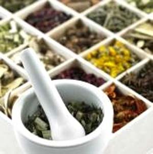 409 گونه گیاه دارویی، ظرفیتی در رونق معیشت گلستانی ها