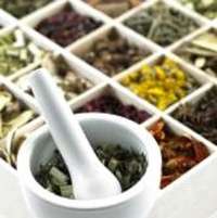 409 گونه گیاه دارویی، ظرفیتی در رونق معیشت گلستانی ها