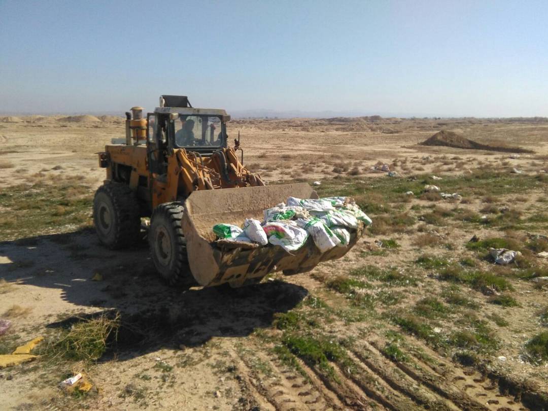 جمع آوري 2 هزار قطعه مرغ تلف شده در گناوه