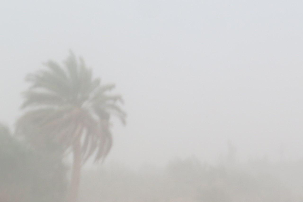 توفان شن در ريگان 23نفر را راهي مراكز درماني كرد