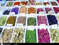 سهم صادرات گیاهان دارویی ایران كمتر از 3 دهم درصد كل تجارت جهانی است