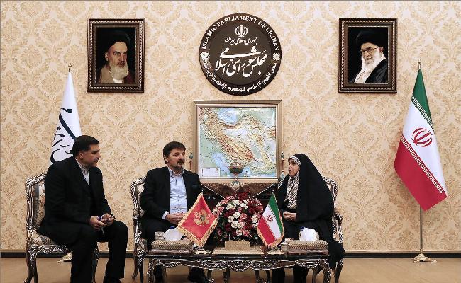 رئيسة جمعية الصداقة بين ايران ومونتينيغرو تدعو الي تعزيز التعاون السياحي بين البلدين رئيسة جمعية الصداقة بين ايران ومونتينيغرو تدعو الي تعزيز التعاون السياحي بين البلدين