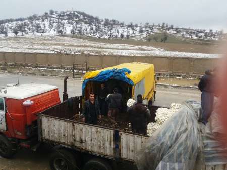 طرح مبادلات مرزی در سیرانبند بانه اجرایی شد