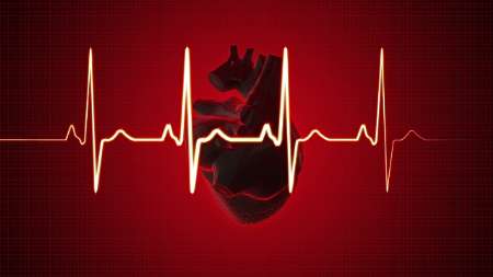 چاقي شكم و پهلو در زنان احتمال حمله قلبي را افزايش مي‌دهد