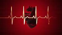 چاقي شكم و پهلو در زنان احتمال حمله قلبي را افزايش مي‌دهد