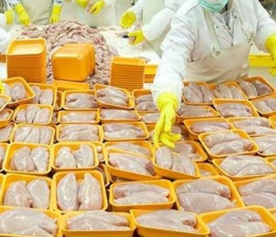 امكان صادرات 80 هزار تن گوشت مرغ از گلستان امكان صادرات 80 هزار تن گوشت مرغ از گلستان