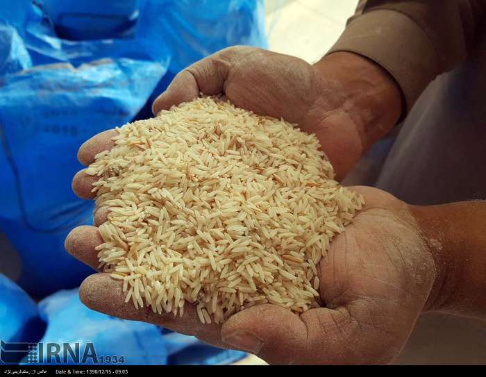 منطقه آزاد چابهار در مسیر تبدیل شدن به هاب فرآوری و بستهبندی برنج کشور