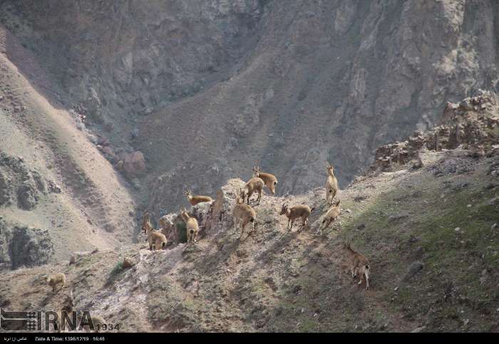 جاذبه‌های طبیعی و تاریخی شهرستان خنداب پذیرای گردشگران نوروزی است