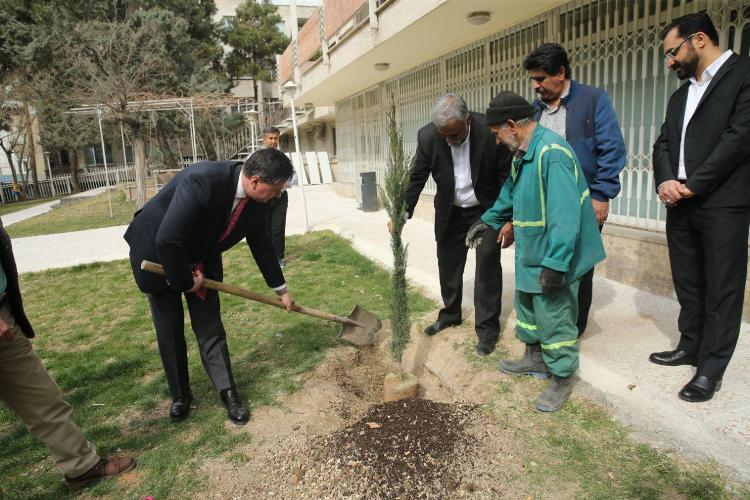 7 درخت با نماد دوستي تهران و صوفيه در سفارت بلغارستان غرس شد 7 درخت با نماد دوستي تهران و صوفيه در سفارت بلغارستان غرس شد