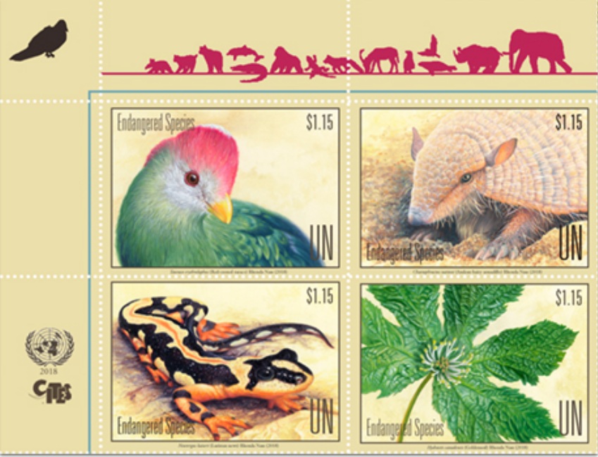 UN issues Iranian salamander stamp UN issues Iranian salamander stamp