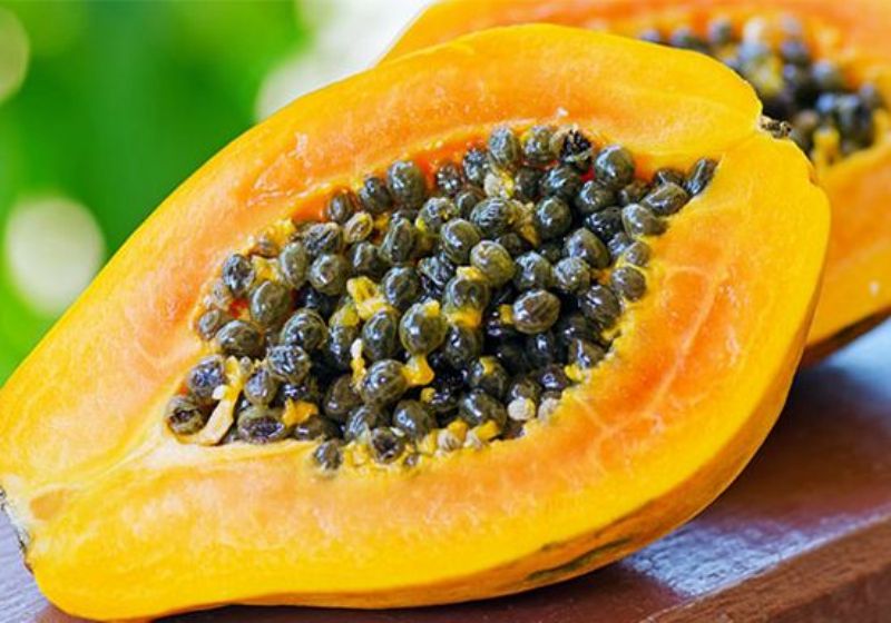 واردات میوه های منگوستین و پاپایا دوباره ممنوع شد واردات میوه های منگوستین و پاپایا دوباره ممنوع شد