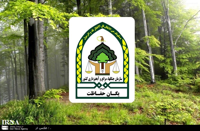 3 هزار تیم جنگل های كشور را در نوروز حفاظت می كنند 3 هزار تیم جنگل های كشور را در نوروز حفاظت می كنند