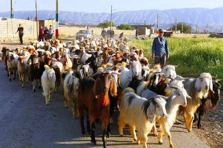 هشت اقامتگاه بومگردي در ايلام آماده اسكان گردشگران نوروزي است