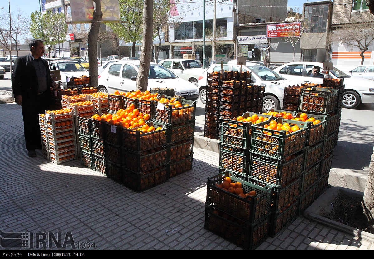 توزیع میوه تنظیم بازار در استان کرمانشاه آغاز شد