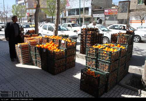 توزیع میوه تنظیم بازار در استان کرمانشاه آغاز شد