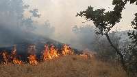 جنگل مناطق كوهستانی بخش مرزن آباد چالوس دچار آتش سوزی شد