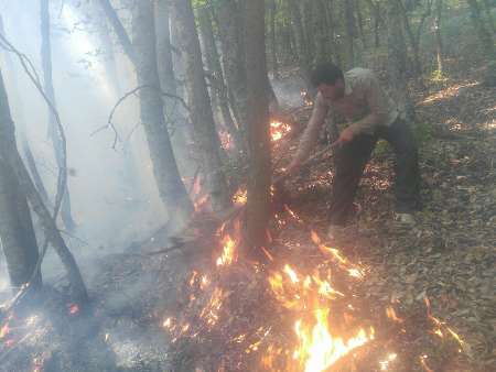 آتش جنگل های چالوس خاموش شد