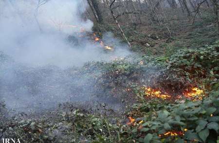 افزون بر 250 هكتار از اراضي جنگلي و باغ هاي گيلان در آتش سوخت