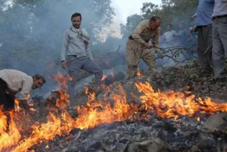آتش خطای انسانی بلای جان جنگل های مازندران